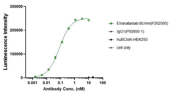 Anti-human BCMA & CD3 (Elranatamab Biosimilar)