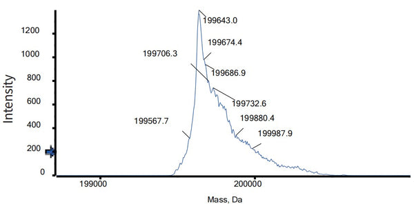 Anti-human HER3 & IGF-1R (Istiratumab Biosimilar)