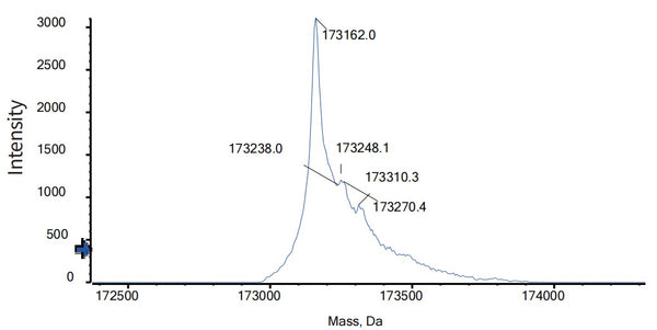 Anti-human CD47 & PD-1 (Hx009 Biosimilar)