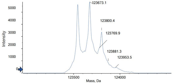 Anti-human BCMA & CD3 (TNB-383B Biosimilar)