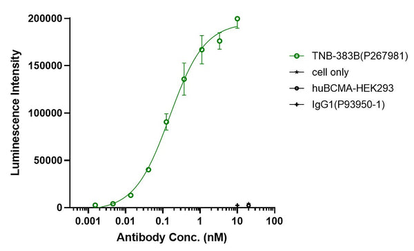 Anti-human BCMA & CD3 (TNB-383B Biosimilar)