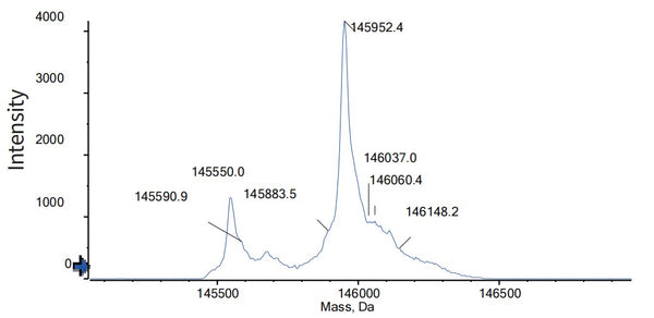 Anti-human BCMA & CD3 (Linvoseltamab Biosimilar)