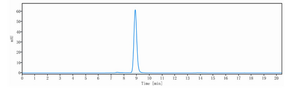 Anti-human BCMA & CD3 (Linvoseltamab Biosimilar)