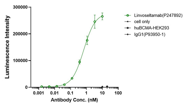 Anti-human BCMA & CD3 (Linvoseltamab Biosimilar)