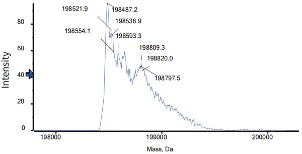 Anti-human TNFalpha & IL17 (Remtolumab Biosimilar)