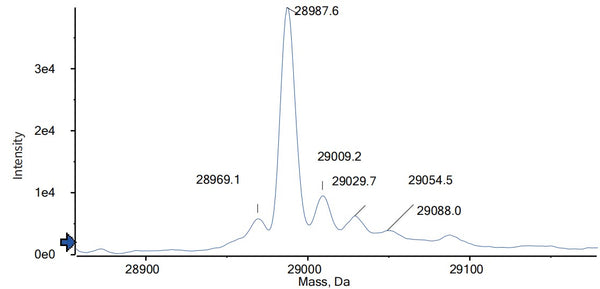 Anti-human C5 & Serum Albumin (Gefurulimab Biosimilar)