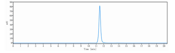 Anti-human C5 & Serum Albumin (Gefurulimab Biosimilar)