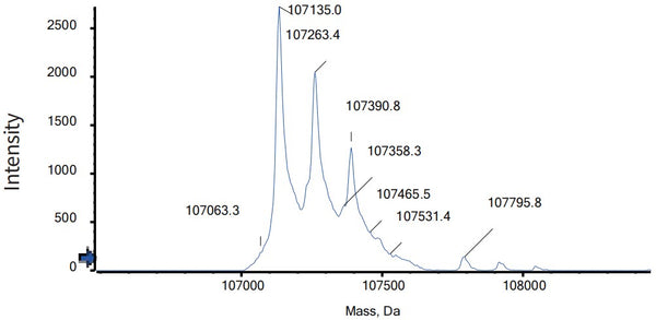 Anti-human 4-1BB & PD-L1 (Enristomig Biosimilar)