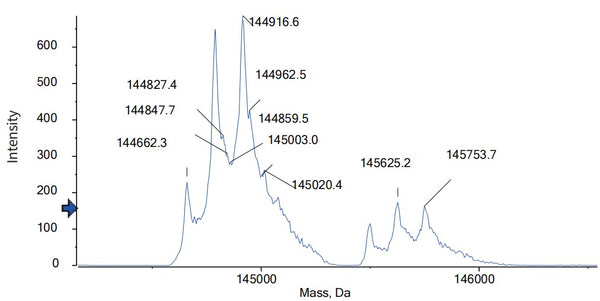 Anti-human cMet (Davutamig Biosimilar)