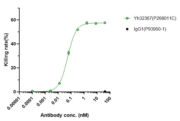 Anti-human 4-1BB & FAP (RO7122290 Biosimilar)
