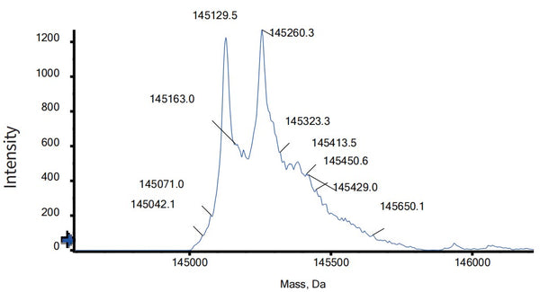 Anti-human 4-1BB & CD40 (Gen1042 Biosimilar)