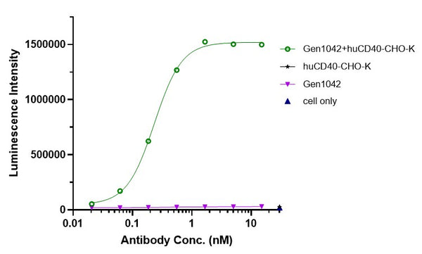 Anti-human 4-1BB & CD40 (Gen1042 Biosimilar)