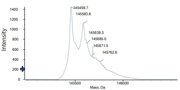 Anti-human CD3 & TPBG (Gen1044 Biosimilar)