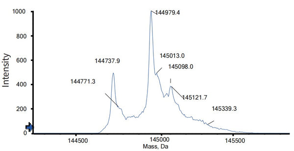 Anti-human CD28 & EGFR (Regn7075 Biosimilar)