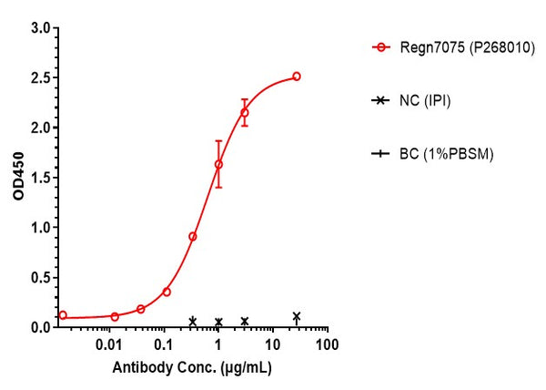 Anti-human CD28 & EGFR (Regn7075 Biosimilar)