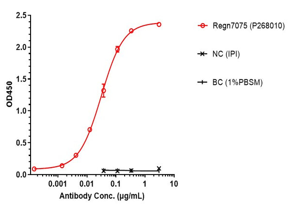 Anti-human CD28 & EGFR (Regn7075 Biosimilar)