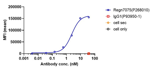Anti-human CD28 & EGFR (Regn7075 Biosimilar)