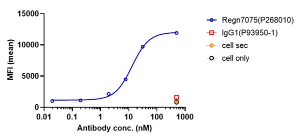 Anti-human CD28 & EGFR (Regn7075 Biosimilar)