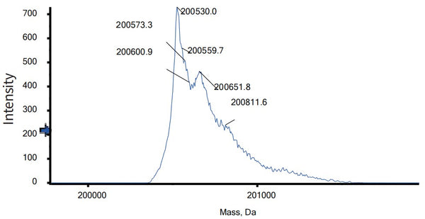 Anti-human 4-1BB & HER2/neu (Yh32367 Biosimilar)