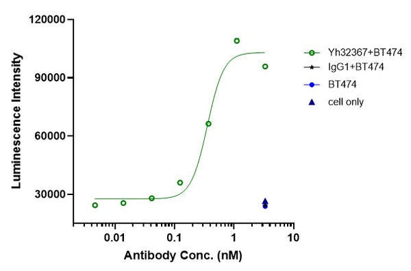 Anti-human 4-1BB & HER2/neu (Yh32367 Biosimilar)