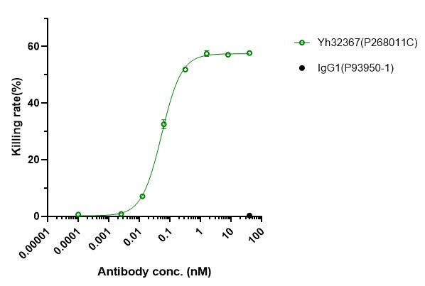 Anti-human 4-1BB & HER2/neu (Yh32367 Biosimilar)