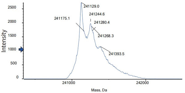 Anti-human BCMA & CD3 (Emb-06 Biosimilar)