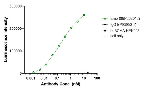 Anti-human BCMA & CD3 (Emb-06 Biosimilar)