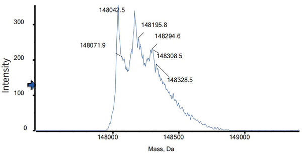 Anti-human HER2/neu (Zanidatamab Biosimilar)
