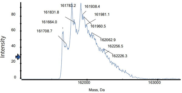 Anti-human LILRB1 & LILRB2 (Ngm707 Biosimilar)