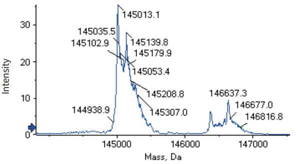 Anti-human LAG-3 & PD-1 (Tobemstomig Biosimilar)