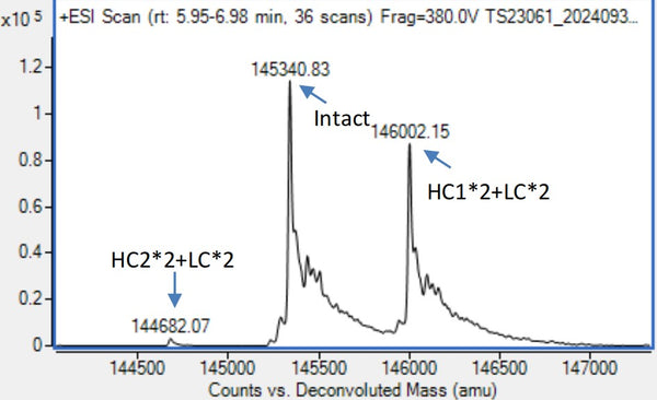 Anti-human CD20 & CD3 (Odronextamab Biosimilar)