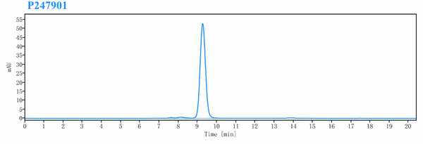 Anti-human CD20 & CD3 (Odronextamab Biosimilar)