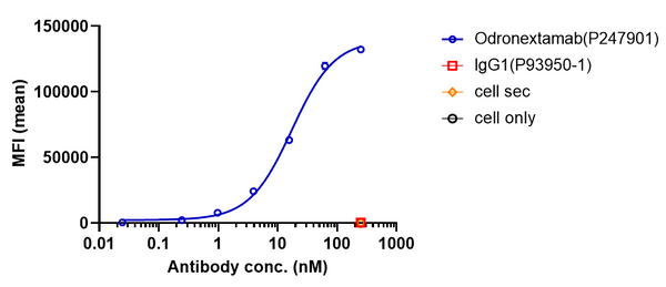 Anti-human CD20 & CD3 (Odronextamab Biosimilar)