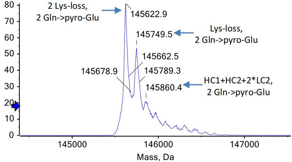 Anti-human cMet & EGFR (Amivantamab Biosimilar)