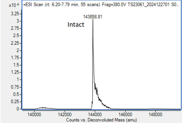 Anti-human 4-1BB & PD-L1 (Acasunlimab Biosimilar)