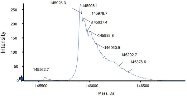 Anti-human DLL4 & VEGF (Navicixizumab Biosimilar)