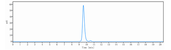 Anti-human DLL4 & VEGF (Navicixizumab Biosimilar)