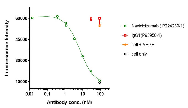 Anti-human DLL4 & VEGF (Navicixizumab Biosimilar)