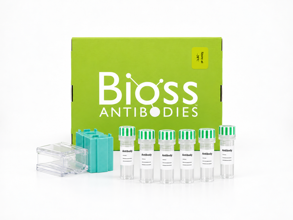 Representative Bioss loading-control sampler kit illustration with six antibody vials