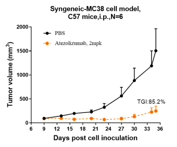 Anti-human B7-H1 / PD-L1 / CD274 (Atezolizumab Biosimilar)
