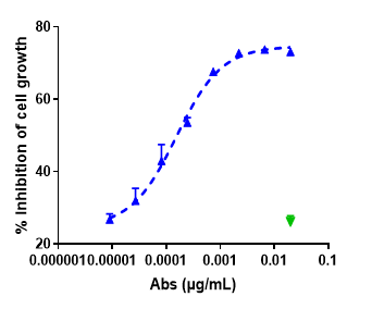 Anti-human ROR1 (Zilovertamab vedotin Biosimilar)