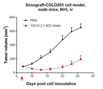 Anti-human CDH17 / Cadherin-17 (10C12 Biosimilar)