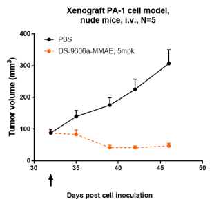 Anti-human CLDN6 (DS-9606a Biosimilar)