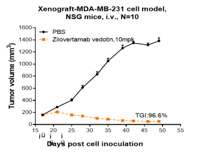 Anti-human ROR1 (Zilovertamab vedotin Biosimilar)