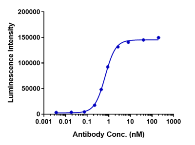 Anti-human CDH6 / K-Cadherin (HKT288 Biosimilar)