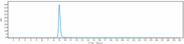 Anti-human CD47 (CC-90002 Biosimilar)