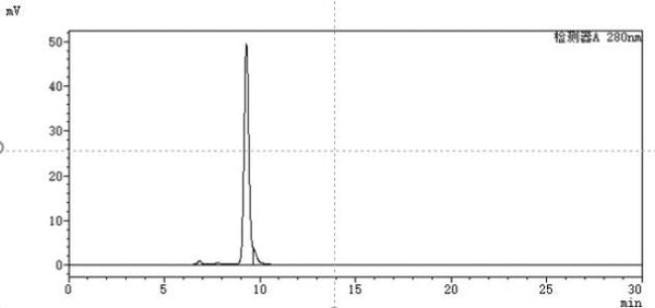 Anti-human CSF2 / GM-CSF (Namilumab Biosimilar)
