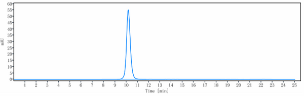 Anti-human B7-H1 / PD-L1 / CD274 (Atezolizumab Biosimilar)