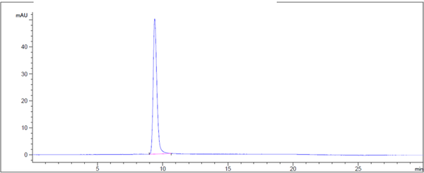 Anti-human Siglec-2 / CD22 (NCI m971 Biosimilar)
