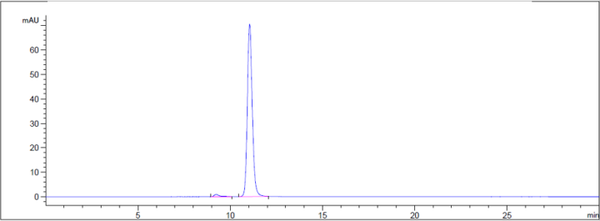 Anti-human NT5E / CD73 (Uliledlimab Biosimilar)